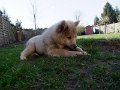 rudel (31)